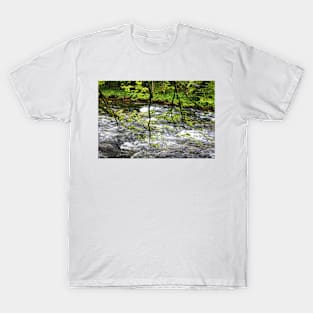 River Orbe IV, Switzerland T-Shirt